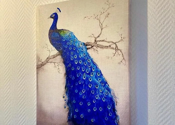 A4 Jacuzzi, Artem, Thermal Appartamento Nancy